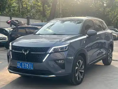 Wuling Motors Xingchen 2022