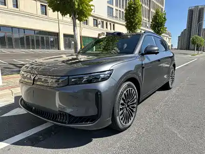 Voyah Auto FREE 2025