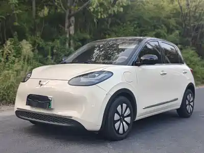 Wuling Motors Bingo 2025