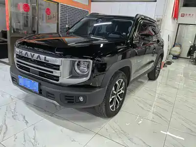 Haval Big Dog 2024