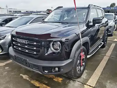Haval Big Dog 2022