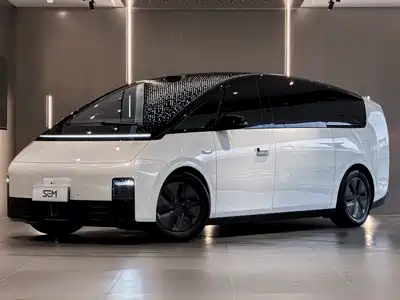 Li Auto MEGA 2025