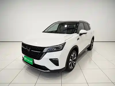 Wuling Motors Xingchen 2021