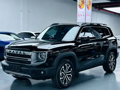 Haval Big Dog 2024