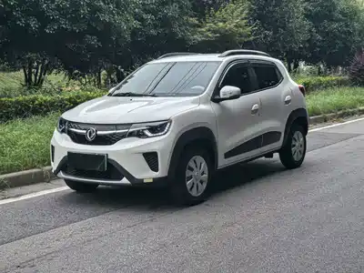 Dongfeng Yipai Nano EX1 2021