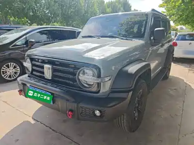 Tank 300 2024