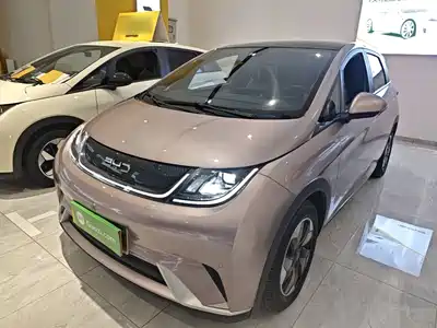 BYD Dolphin 2024