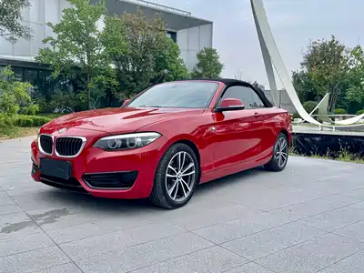 BMW 2 Series (Import) 2018
