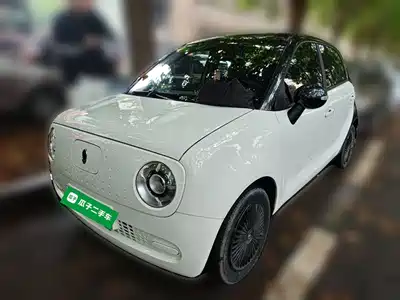 Ora Black Cat 2021