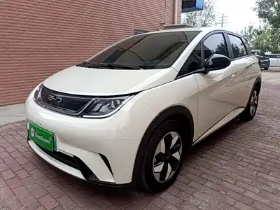 BYD Dolphin 2026