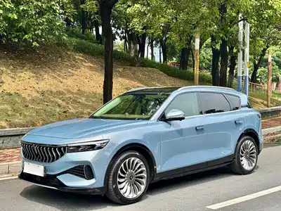 Voyah Auto FREE 2022