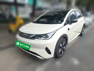 BYD Dolphin 2025