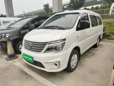 Dongfeng Fengxing Lingzhi 2019