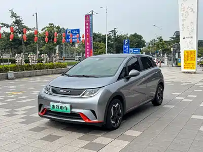 BYD Dolphin 2022