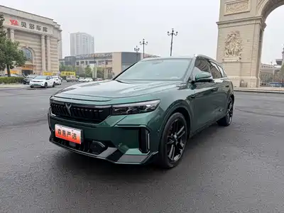 Voyah Auto FREE 2023
