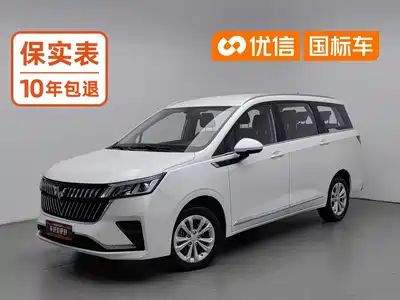 Wuling Motors Jiachen 2024
