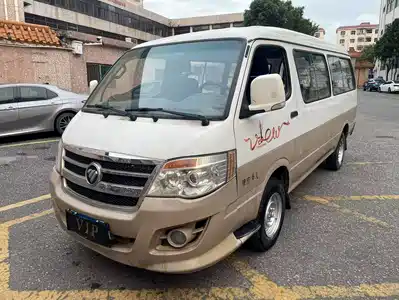 Foton View 2017