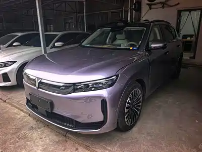Voyah Auto FREE 2025