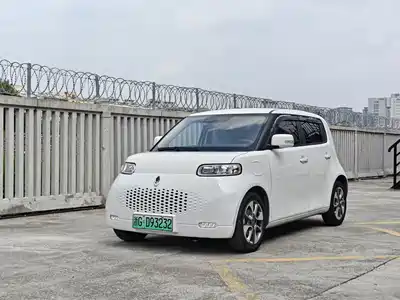 Ora White Cat 2021