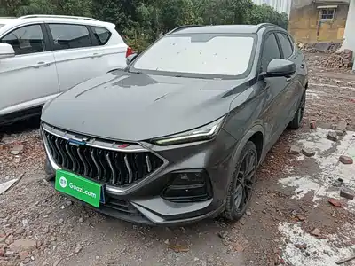 Changan Oshan Oushang X5 2021