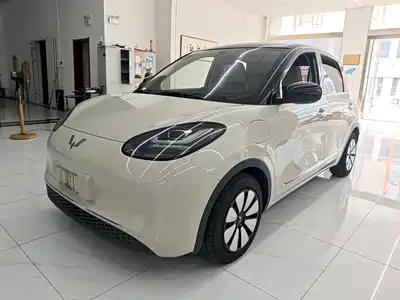 Wuling Motors Bingo 2024