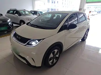 BYD Dolphin 2025