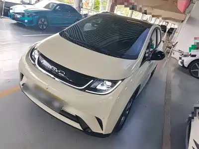 BYD Dolphin 2024