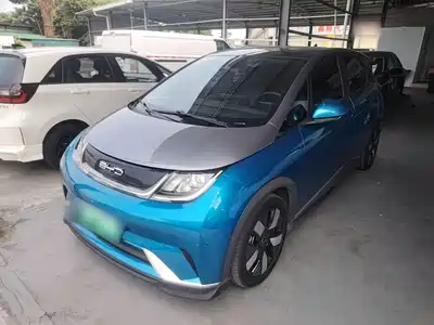 BYD Dolphin 2022