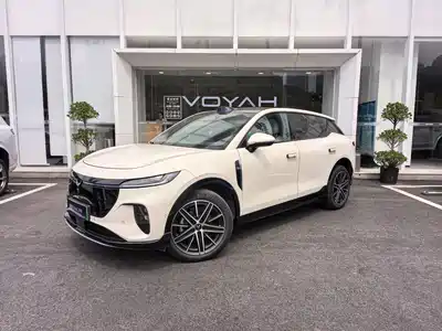 Voyah Auto Zhiyin 2025