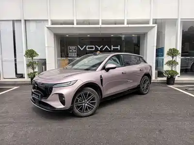 Voyah Auto Zhiyin 2025