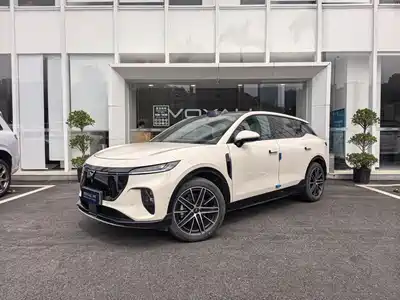 Voyah Auto Zhiyin 2025
