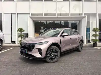 Voyah Auto Zhiyin 2025