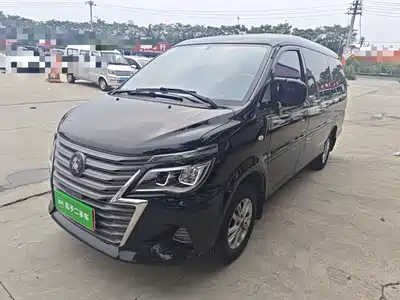Dongfeng Fengxing Lingzhi 2022