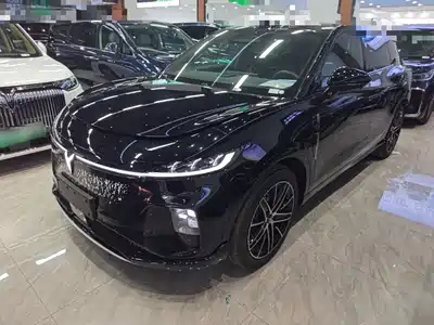 Voyah Auto Zhiyin 2025