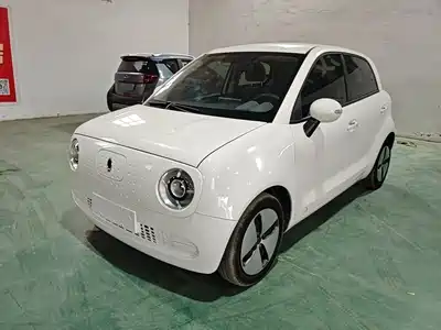 Ora Black Cat 2020