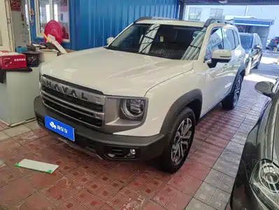 Haval Big Dog 2024