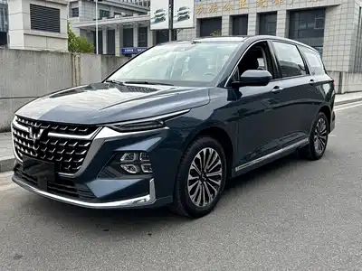 Wuling Motors Victory 2023