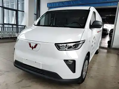 Wuling Motors Yangguang 2025