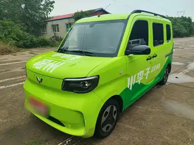 Wuling Motors Zhiguang NEV 2025
