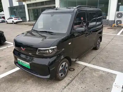 Wuling Motors Zhiguang NEV 2026