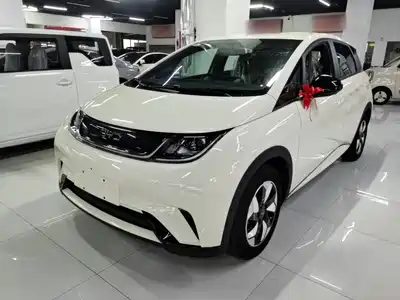 BYD Dolphin 2026