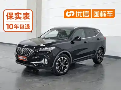 WEY VV6 2021