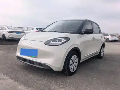 Wuling Motors Bingo 2024