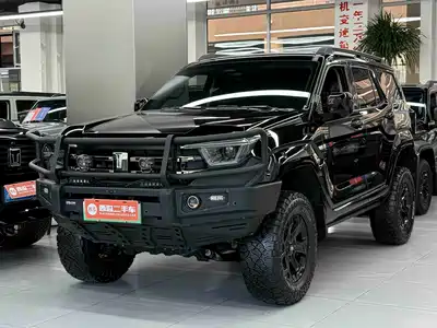 Tank 400 New Energy 2024