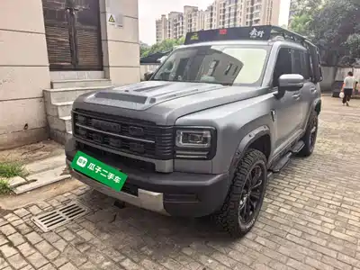 Haval Meng Long NEV 2025