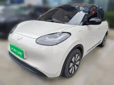 Wuling Motors Bingo 2024
