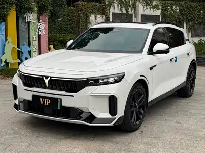 Voyah Auto FREE 2024