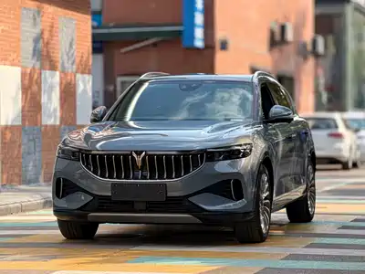 Voyah Auto FREE 2022
