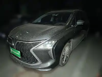 Dongfeng Fengxing Yacht 2024