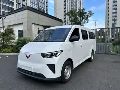 Wuling Motors Yangguang 2024
